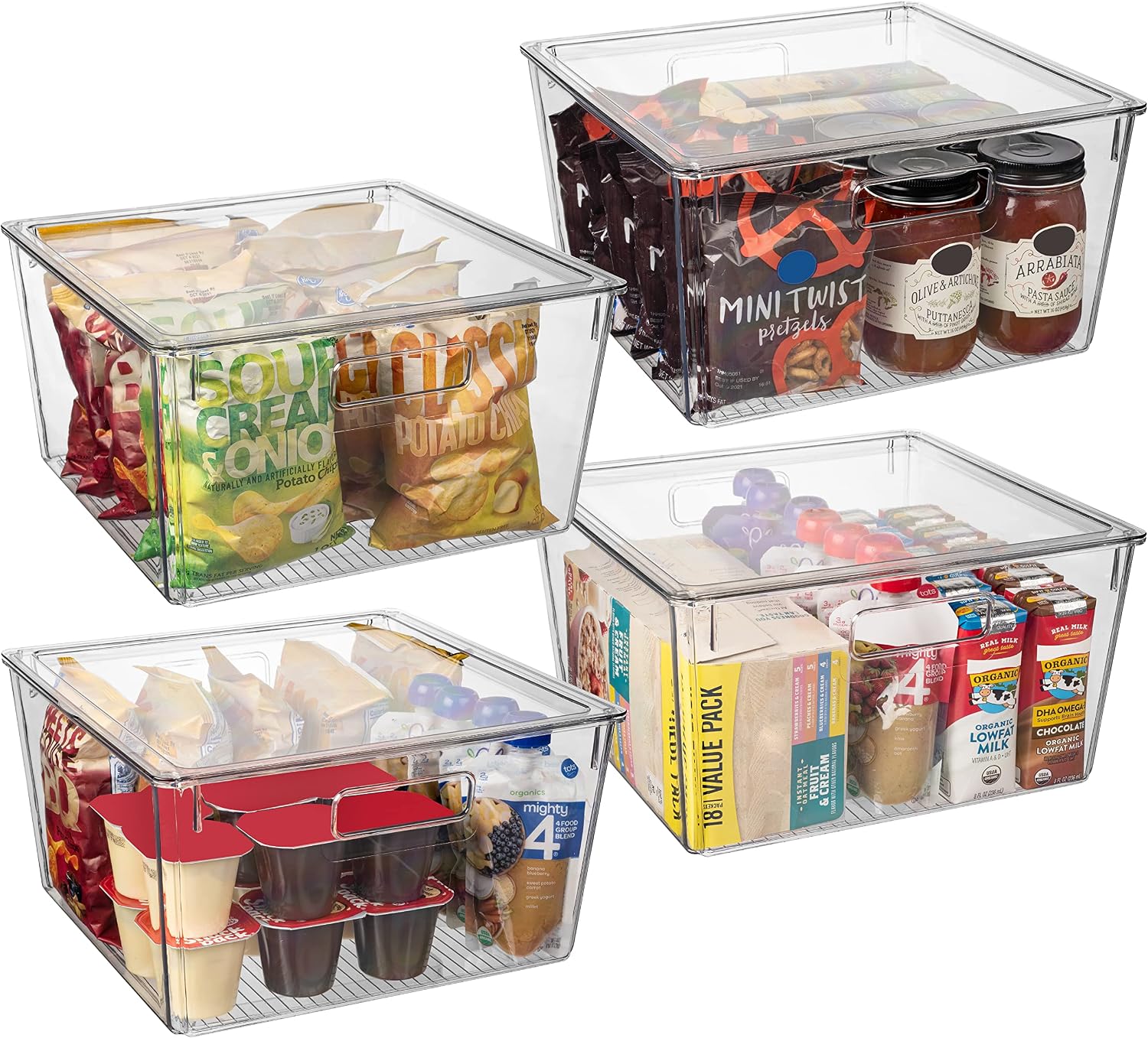 XL Lidded Plastic Storage Organizer Bins